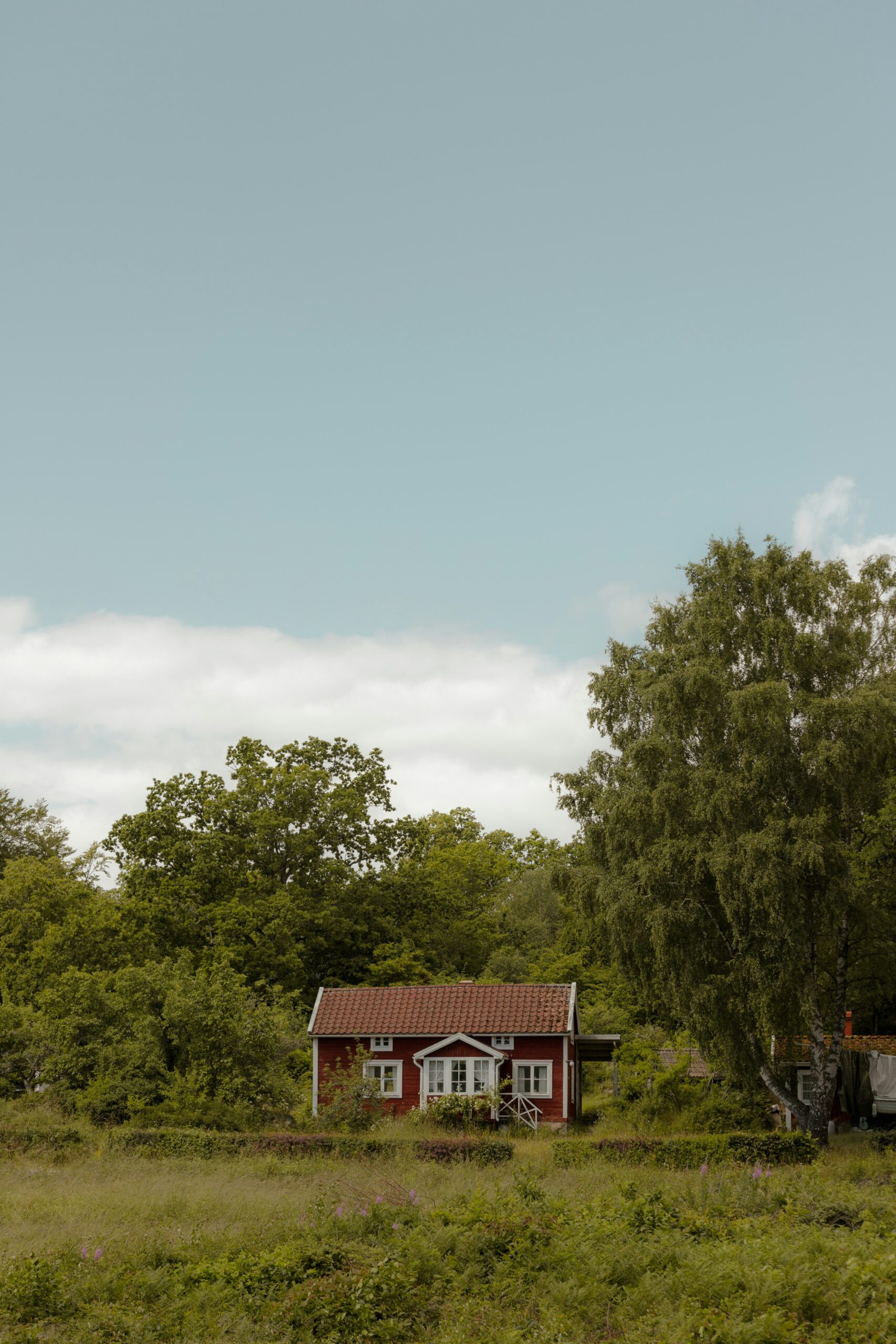 swedish house in the woods